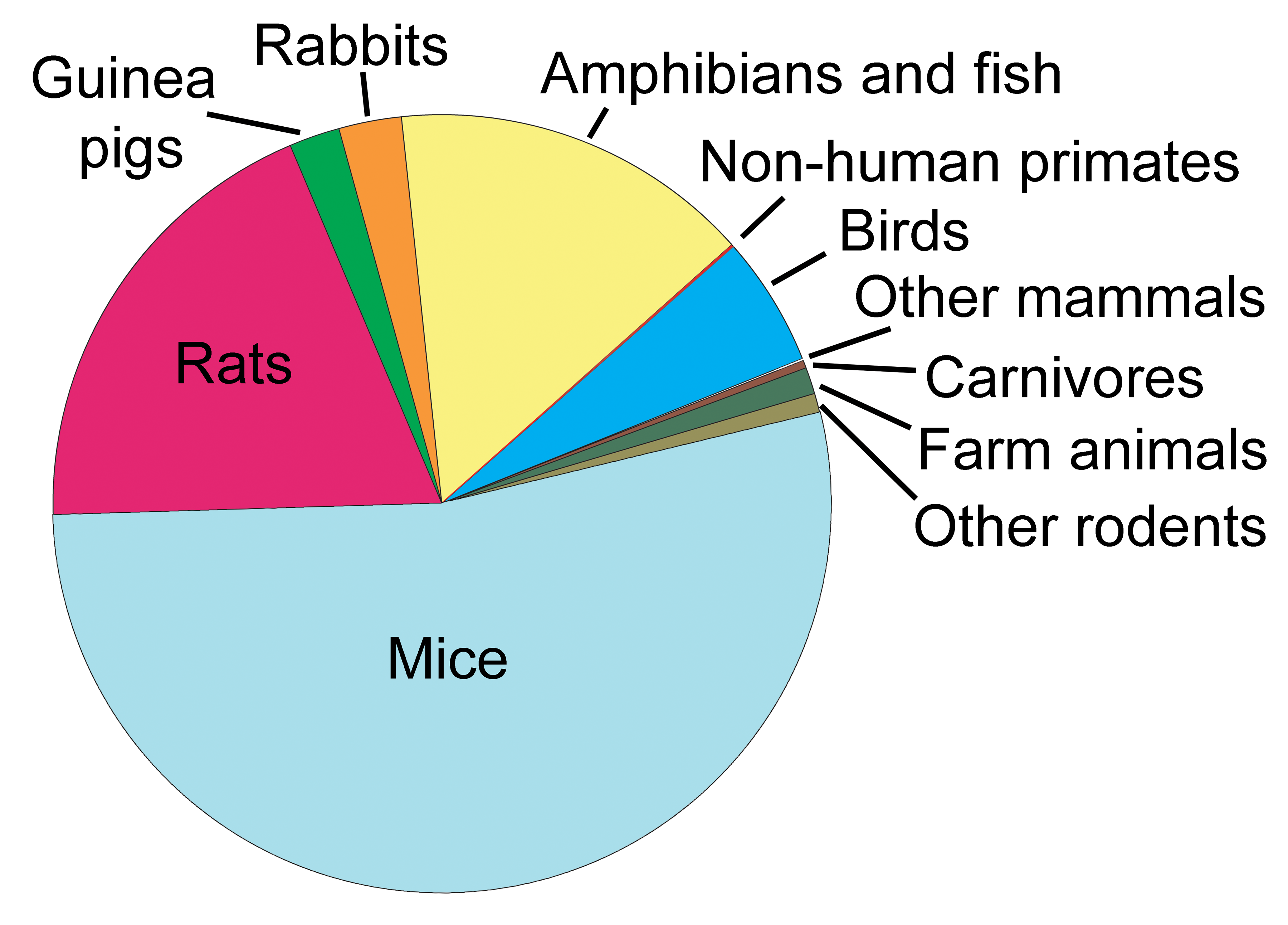Animal Testing Charts